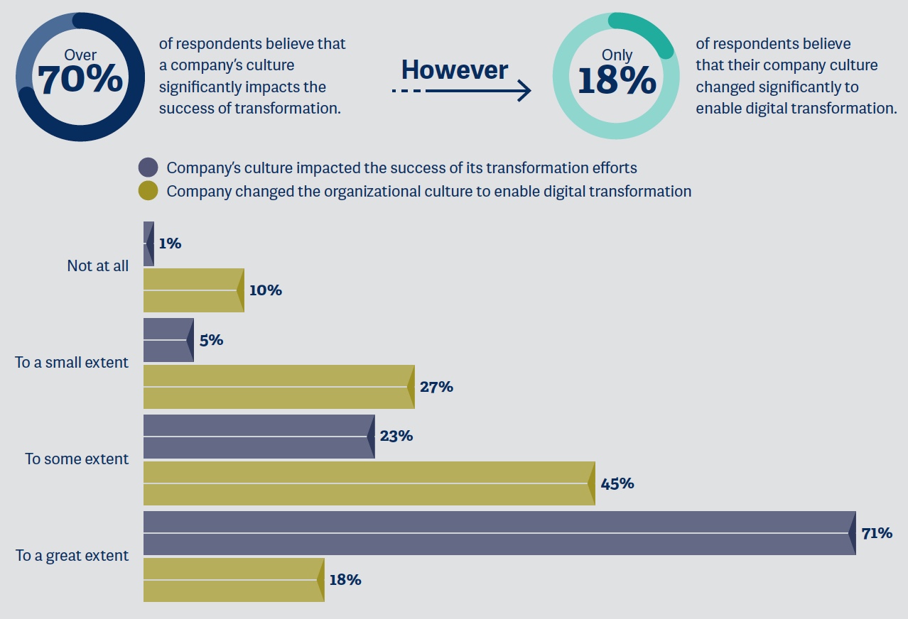 digital pulse culture graph 2.jpeg