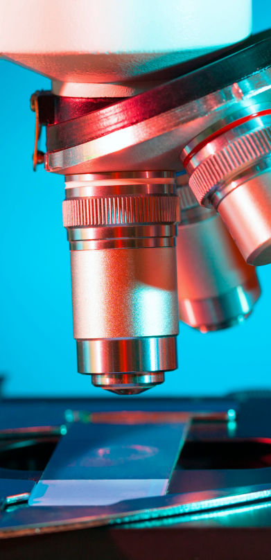 GettyImages-488636203 1.png