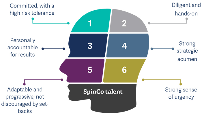 Five leadership challenges in spin-off_pic2.jpg