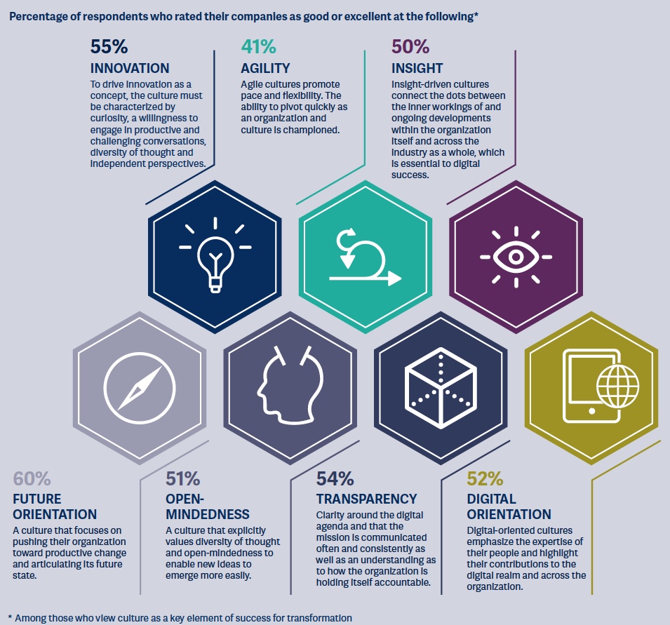 digital pulse culture graph 3.jpeg