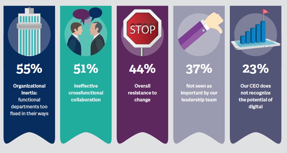 digital pulse culture graph 4.jpeg